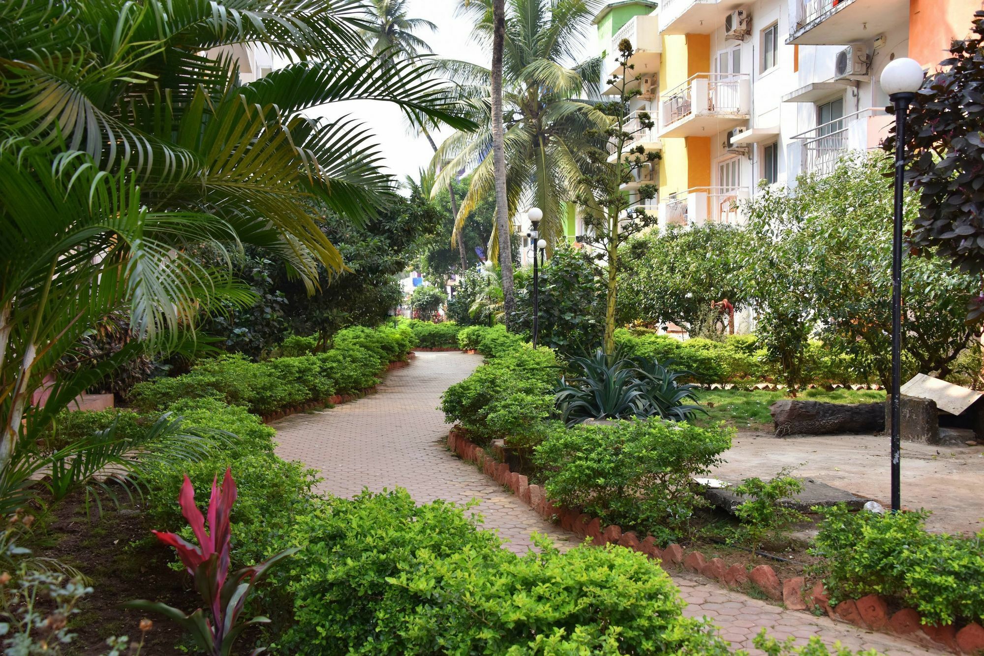 Q Lite Calangute Hotel Exterior photo